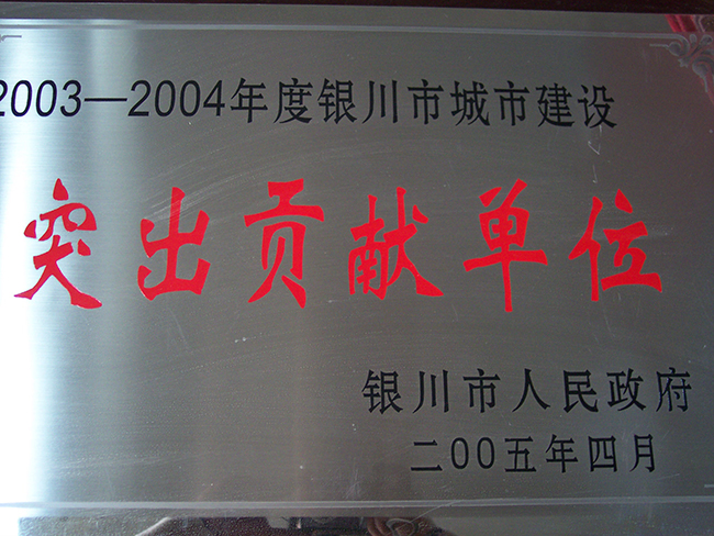 2004年银川市人民政府突出贡献单位
